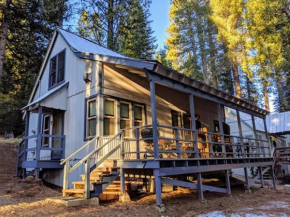 Cabin #7